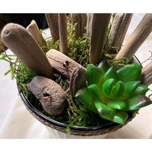 Tin pale Polka Dot Burlap Wrap Driftwood found Lake MI.  succulents